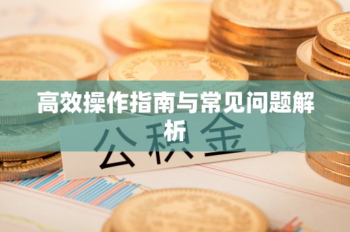 兴城高效操作指南与常见问题解析