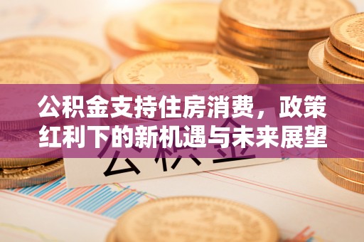 兴城公积金支持住房消费，政策红利下的新机遇与未来展望