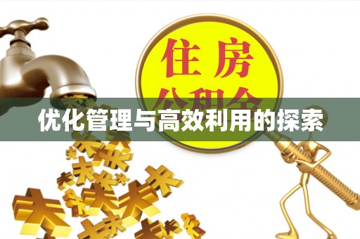 兴城优化管理与高效利用的探索