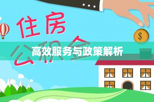 兴城高效服务与政策解析