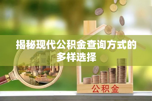 兴城揭秘现代公积金查询方式的多样选择