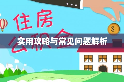 兴城实用攻略与常见问题解析