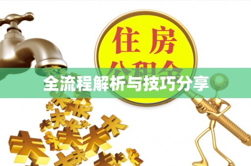 兴城全流程解析与技巧分享